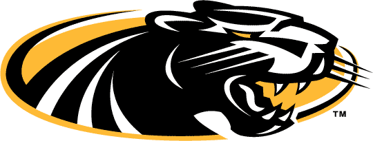 Wisconsin-Milwaukee Panthers 2002-2010 Alternate Logo iron on transfers for T-shirts